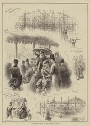 A Firework Night at the Crystal Palace